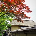 DSC08225.JPG