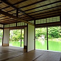 DSC08272.JPG