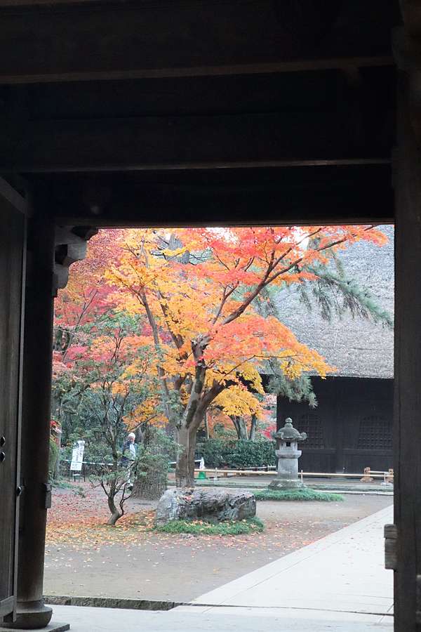 東京冷門賞楓名所 一 平林禅寺 總幹事耕讀筆記 日本ありがとうございました 痞客邦 東京冷門賞楓名所 一 平林禅寺 總幹事耕讀筆記 日本ありがとうございました 痞客邦