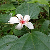 20120427309.jpg 20120427309.jpg