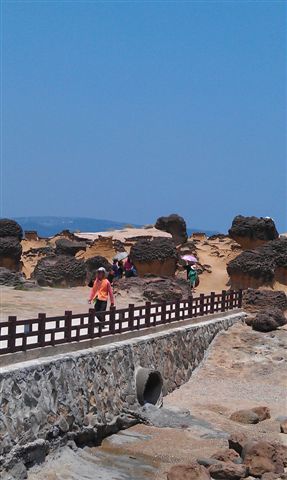IMAG0307.jpg