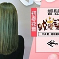 初春花藝05