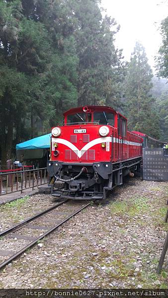 IMAG4579.jpg IMAG4579.jpg