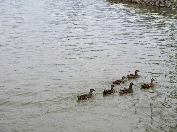 IMG_1864 IMG_1864
