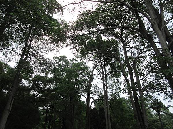 IMG_1885 IMG_1885