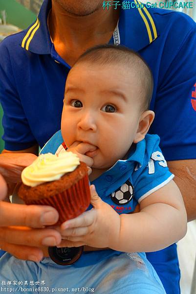 DSC00264 DSC00264