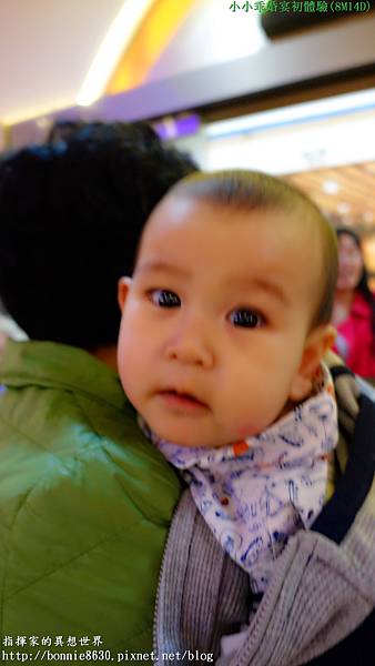 DSC03420_副本 DSC03420_副本