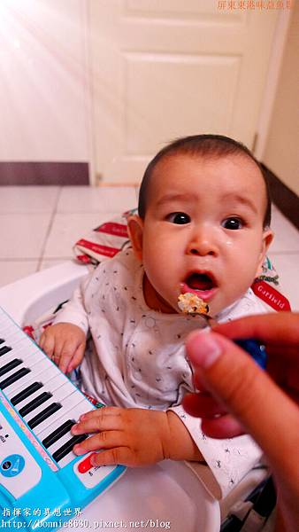 DSC03571 DSC03571