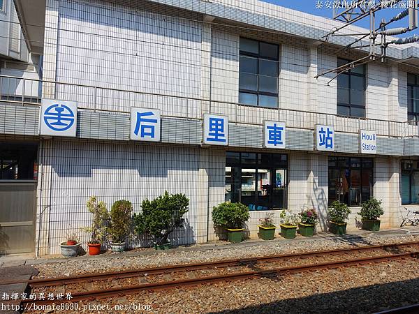 DSC00703 - 複製.jpg DSC00703 - 複製.jpg