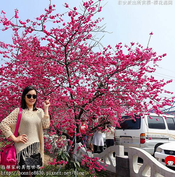 DSC00741_副本.jpg DSC00741_副本.jpg