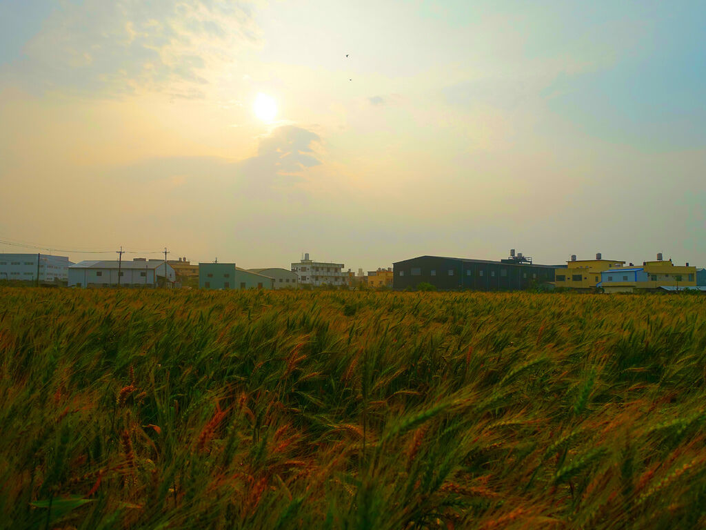 DSC01572_副本.jpg DSC01572_副本.jpg
