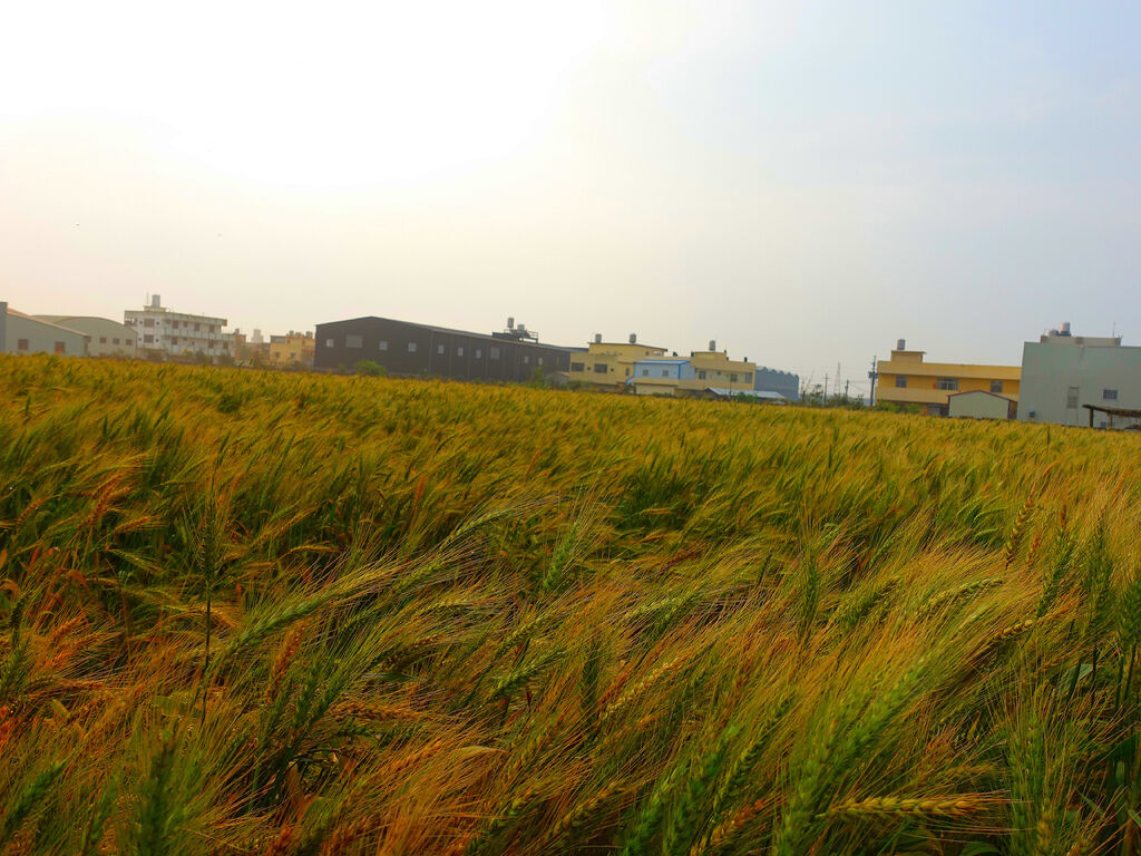DSC01573_副本.jpg DSC01573_副本.jpg