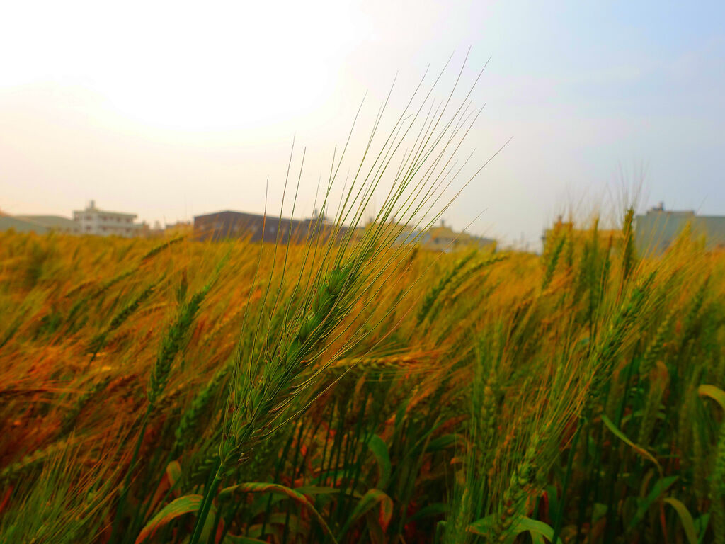 DSC01576_副本.jpg DSC01576_副本.jpg