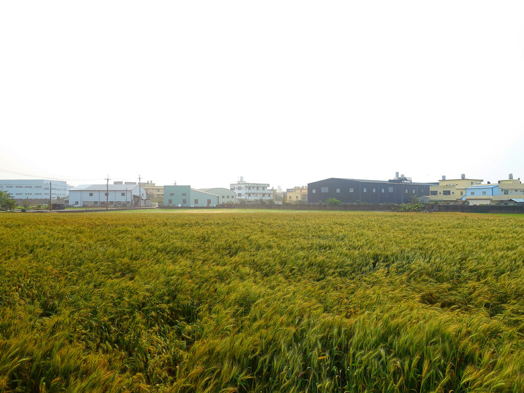 DSC01578_副本.jpg DSC01578_副本.jpg