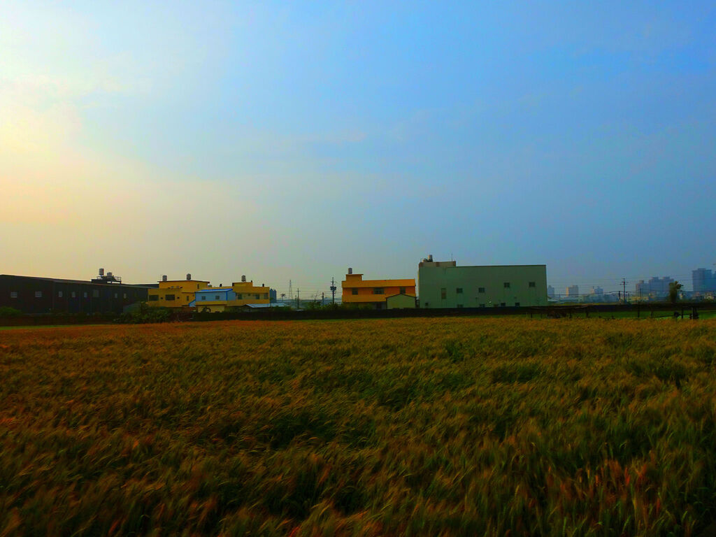 DSC01579_副本.jpg DSC01579_副本.jpg
