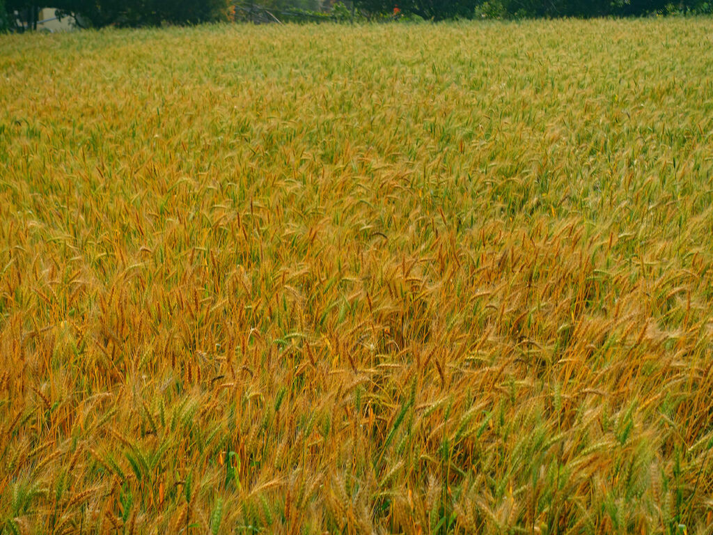 DSC01580_副本.jpg DSC01580_副本.jpg