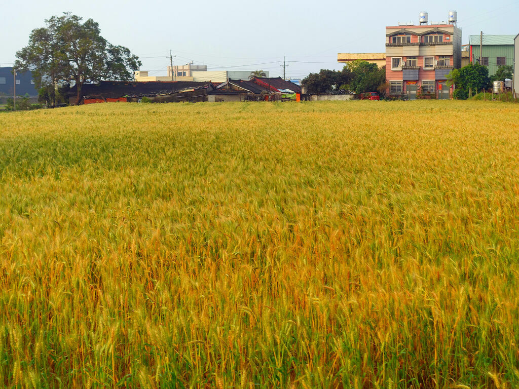 DSC01582_副本.jpg DSC01582_副本.jpg