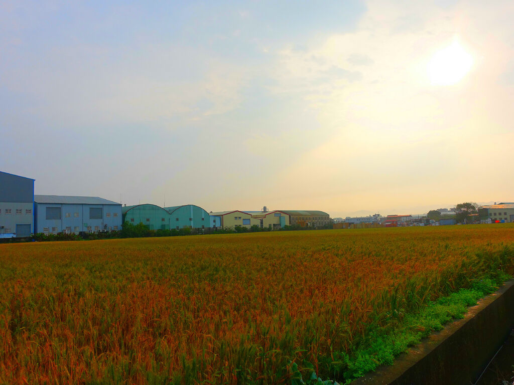 DSC01586_副本.jpg DSC01586_副本.jpg