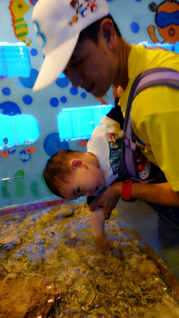 DSC04254.JPG DSC04254.JPG