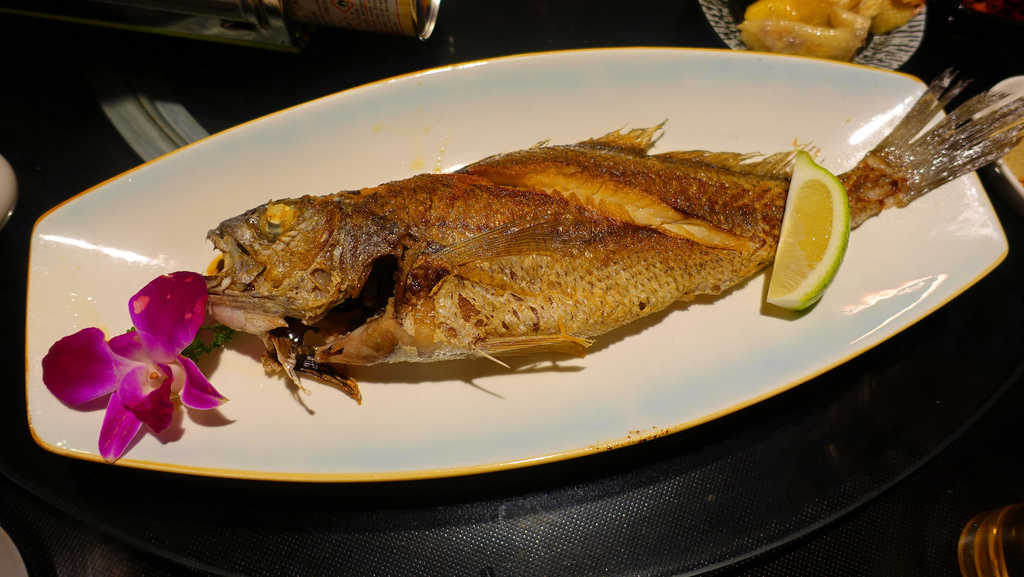 DSC05256.JPG DSC05256.JPG