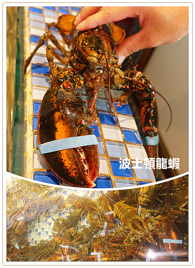 DSC09255_副本ㄐ吃吃.jpg DSC09255_副本ㄐ吃吃.jpg