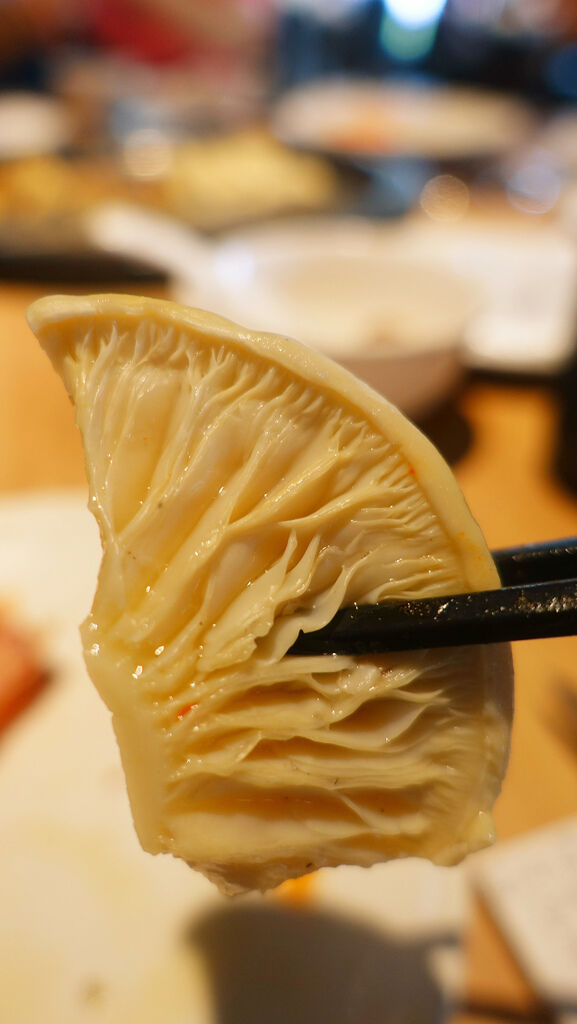 DSC09484_副本.jpg DSC09484_副本.jpg
