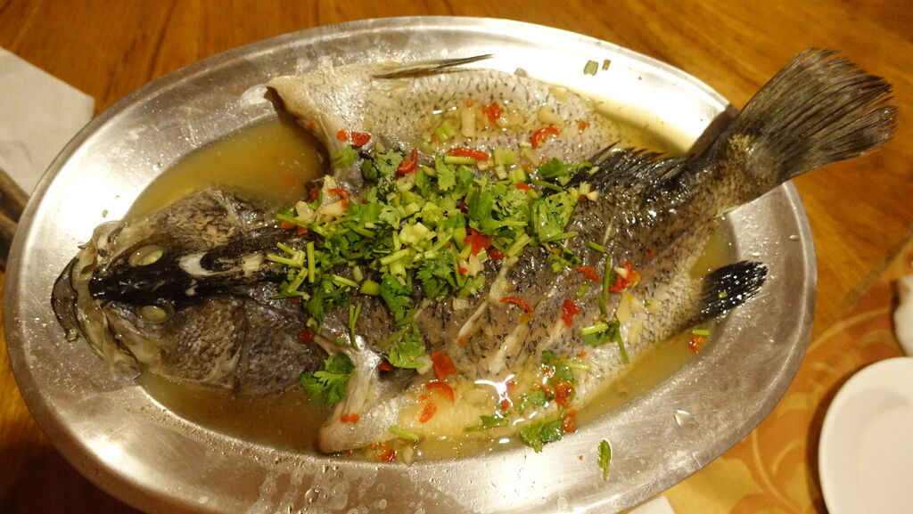 DSC07477.JPG DSC07477.JPG