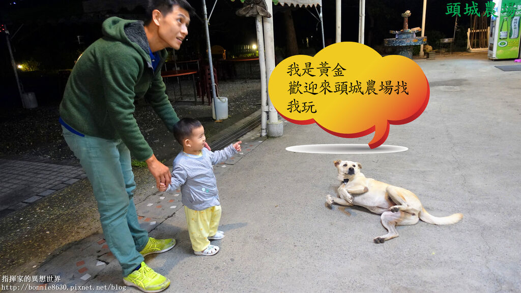 黃金.jpg 黃金.jpg