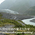 紐西蘭FoxGlacier-3