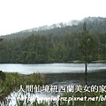 紐西蘭LakeMatheson-1