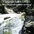 紐西蘭Milfordsound-3