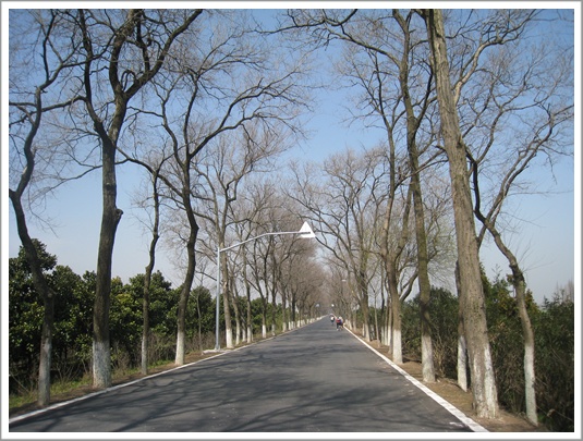 騎行在鄉間小路 騎行在鄉間小路