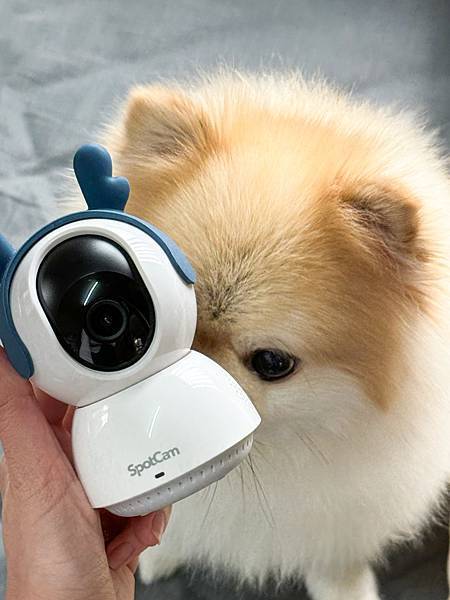 智能寵物守護神！SpotCam Mibo攝影機，360度全方