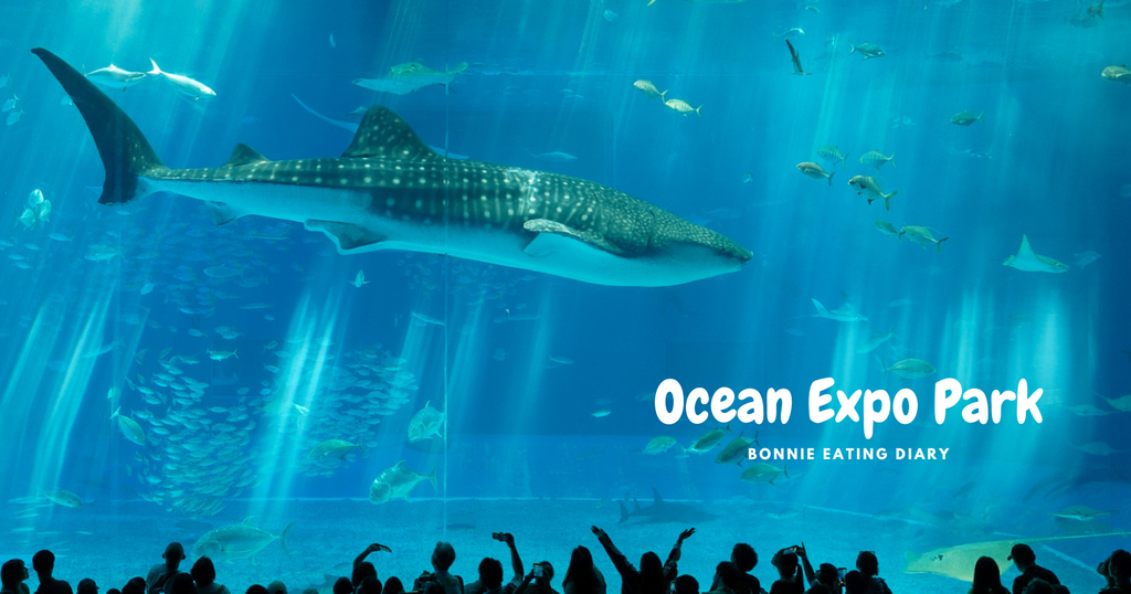沖繩親子景點美麗海水族館