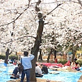 20150326-0408 Japan 049.JPG