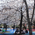 20150326-0408 Japan 051.JPG