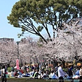 20150326-0408 Japan 147.JPG