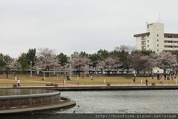 20150326-0408 Japan 171