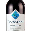 TWO OCEANS CABERNET SAUVIGNON MERLOT 2008.jpeg