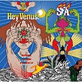 Super Furry Animals - Hey Venus!.jpg