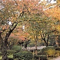 花見橋と紅葉.jpg