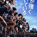 強風正勁(2009).jpg