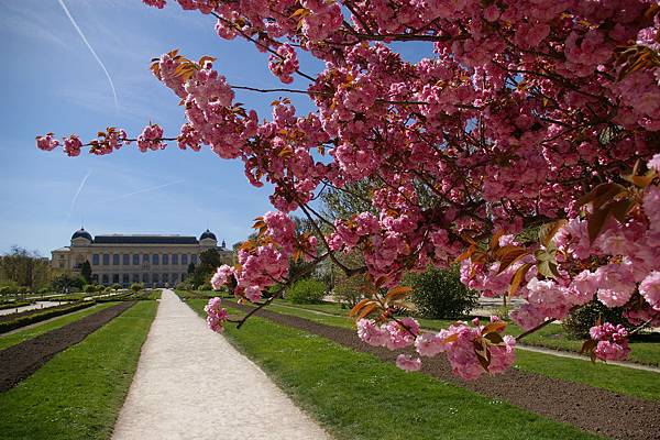 Jardin des Plantes