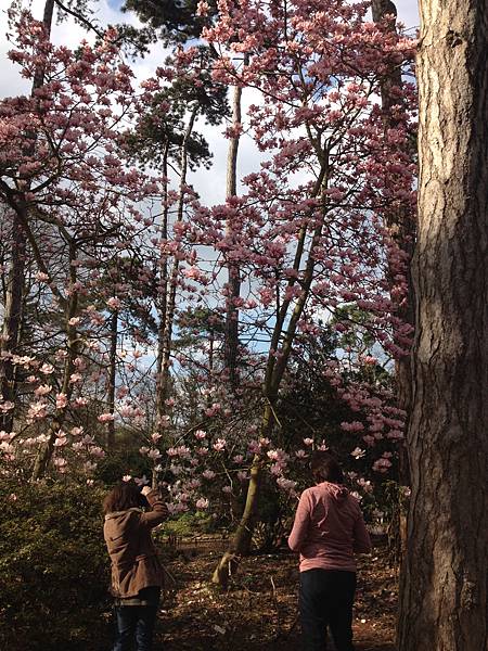 Parc Floral