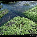 北海岸-野柳附近