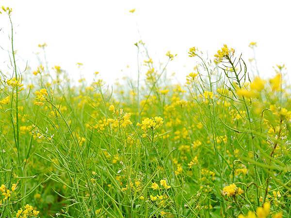 P1060100.jpg P1060100.jpg