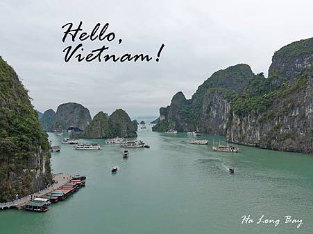 DSC04986.jpg DSC04986.jpg