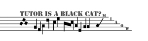 Black cat01black_L