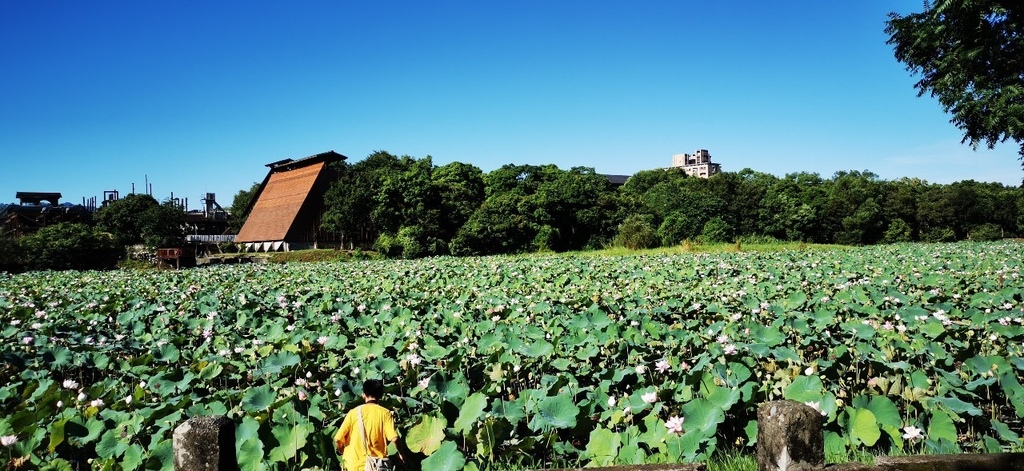 東勢_201031_0.jpg 東勢_201031_0.jpg