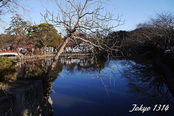 131229八幡宮09.jpg